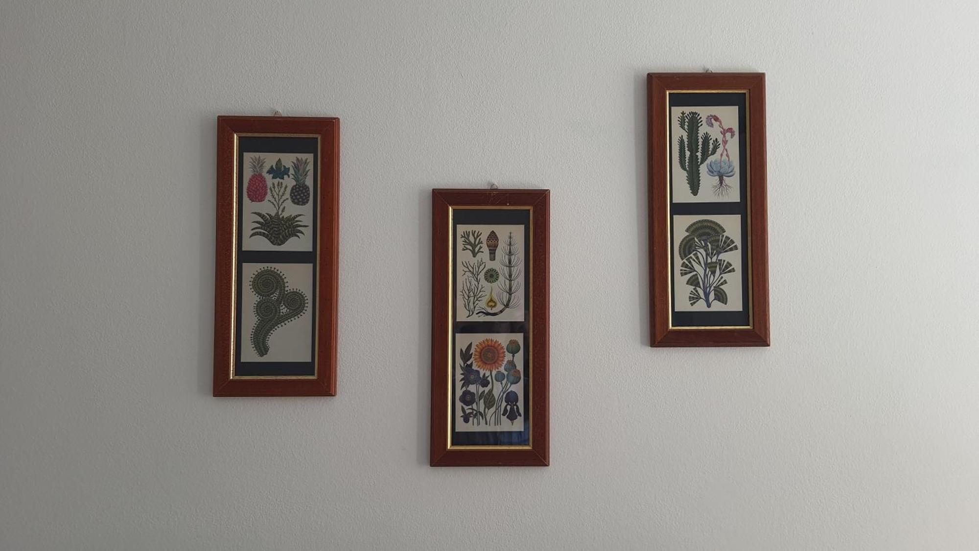 Santa Caterina Apartment